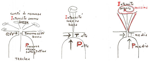Figura 4 - l'intensità di un flusso espiratorio in rapporta 
alla forza contrattile vocale e alla pressione sottoglottica, espressione della gestione dei muscoli respiratori