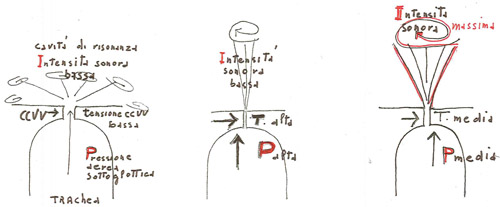 Figura 4 - l'intensità di un flusso espiratorio in rapporta 
alla forza contrattile vocale e alla pressione sottoglottica, espressione della gestione dei muscoli respiratori